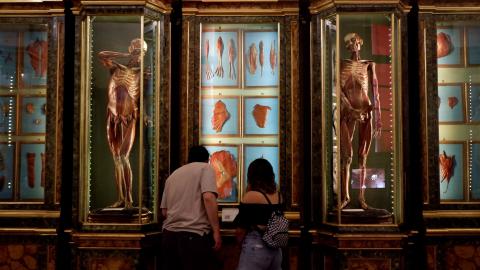 Camera dell'anatomia-museo poggi