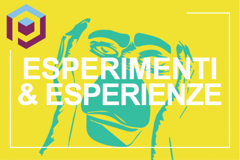 card format esperimenti ed esperienze