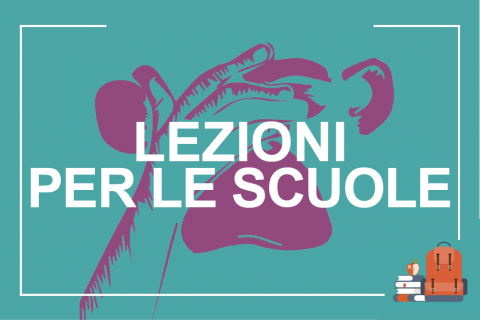 card lezioni per le scuole