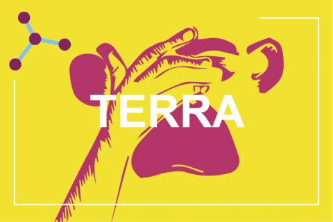 card tematica terra