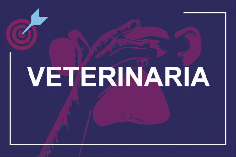 cared disciplina veterinaria