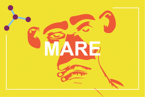 card Mare per tematiche