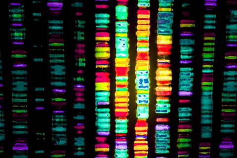 DNA