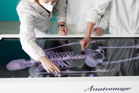 tavolo anatomico virtuale
