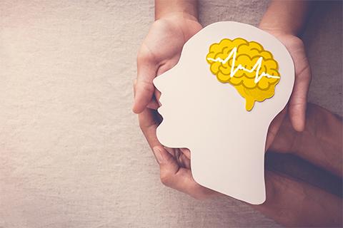 generazioni phd