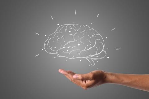 Mano che sostiene un cervello