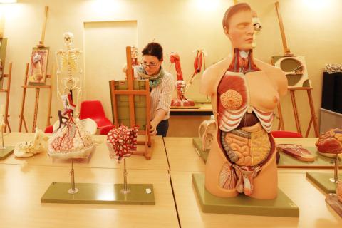 laboratorio di anatomia, modelli di strutture del corpo umano