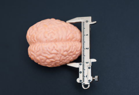 brain misure