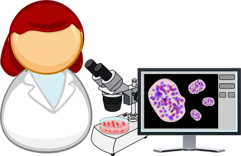 A woman studying cells
