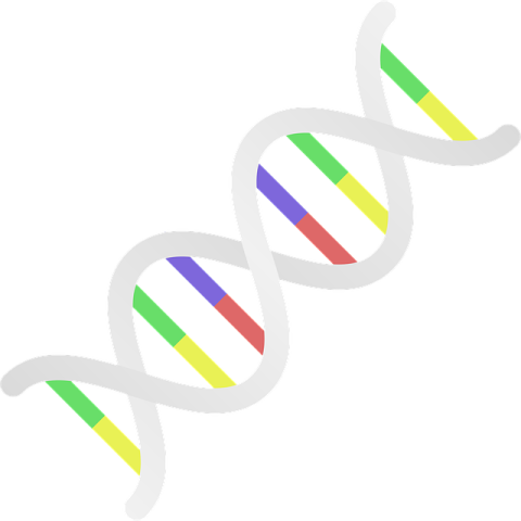 DNA
