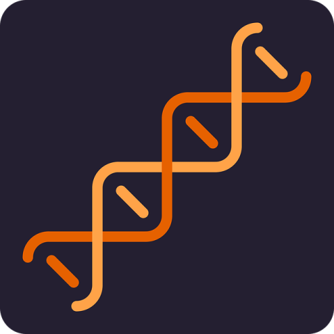 DNA