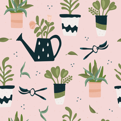 Gardening tools and plants