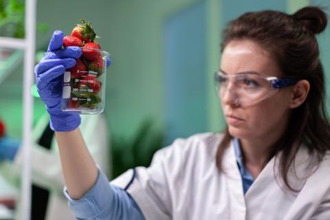Biologa in laboratorio che tiene in mano ampolla piena di fragole