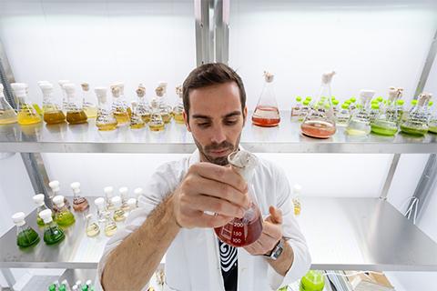 Ricercatore nel laboratorio di algologia