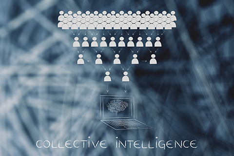 intelligenza collettiva
