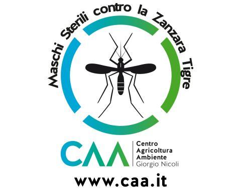 maschi sterili contro la zanzara tigre
