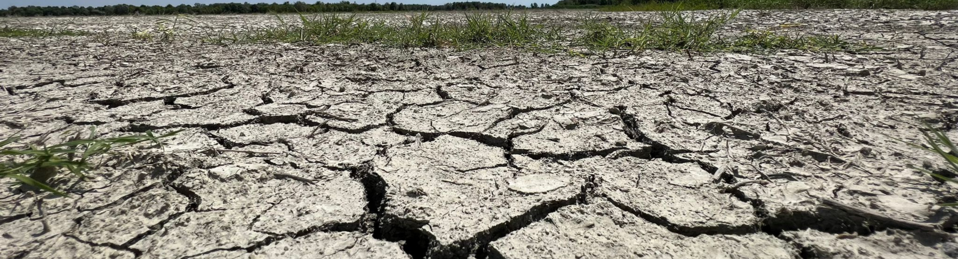 eventi climatici estremi e realtà locali - slide